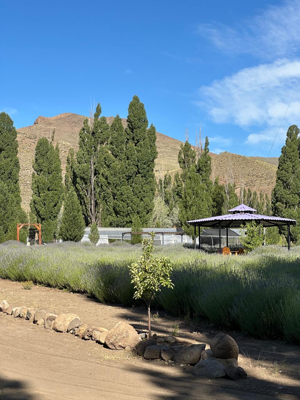 Villa LLanquin