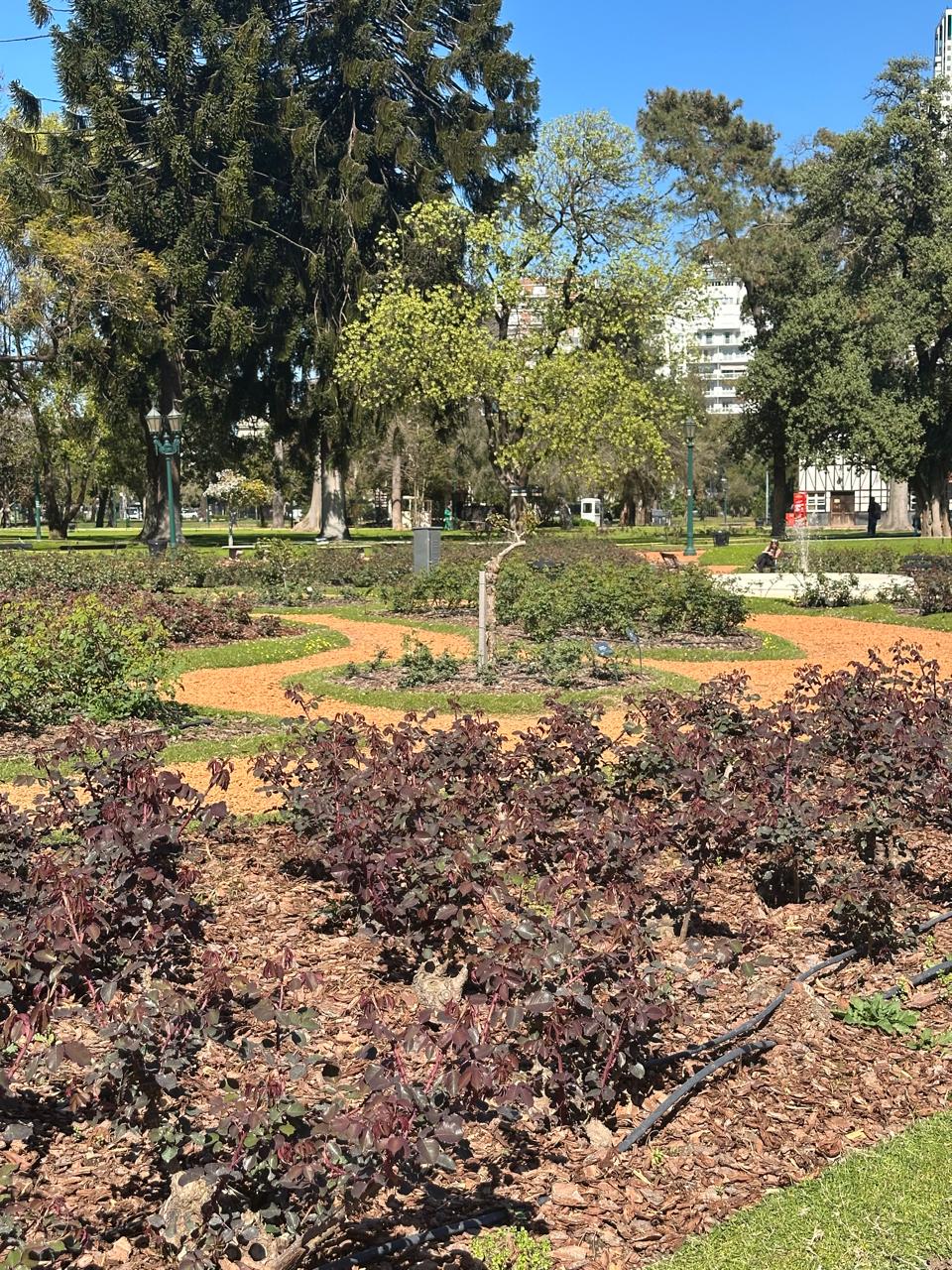 El Rosedal