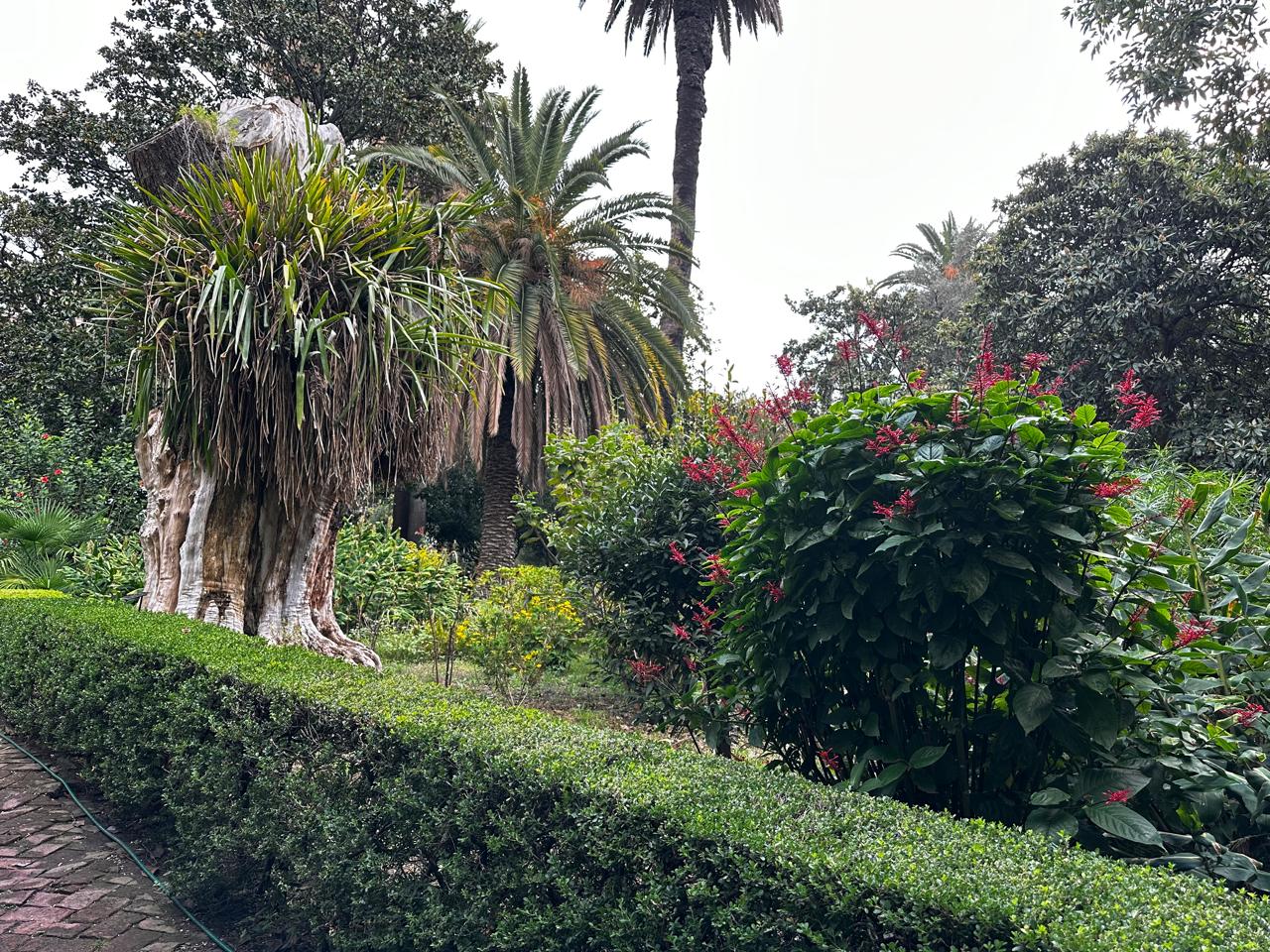 Museo Enrique Larreta