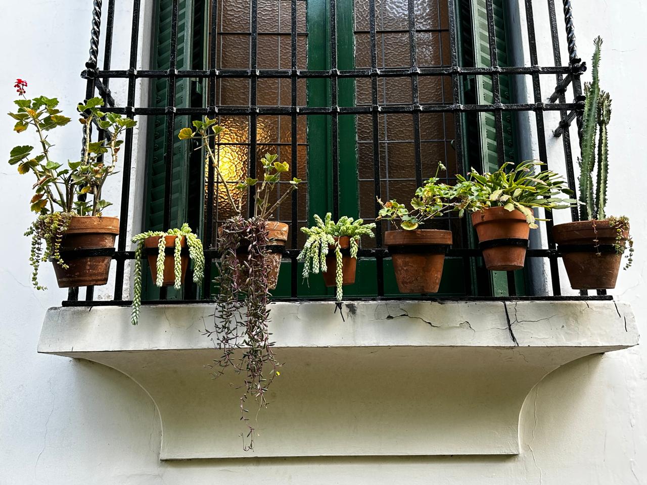 Museo Enrique Larreta