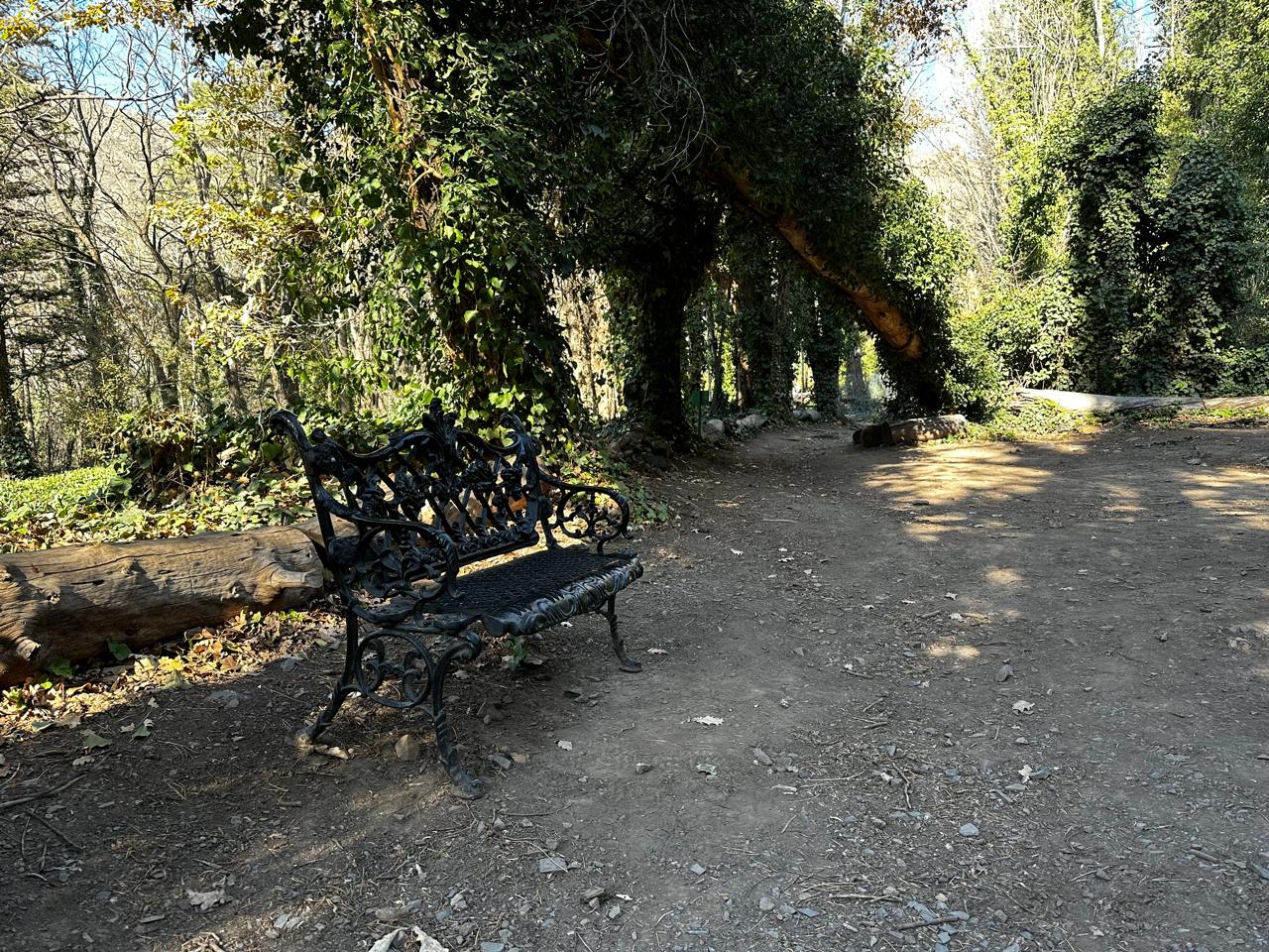 Jardines de Hotel Villavicencio