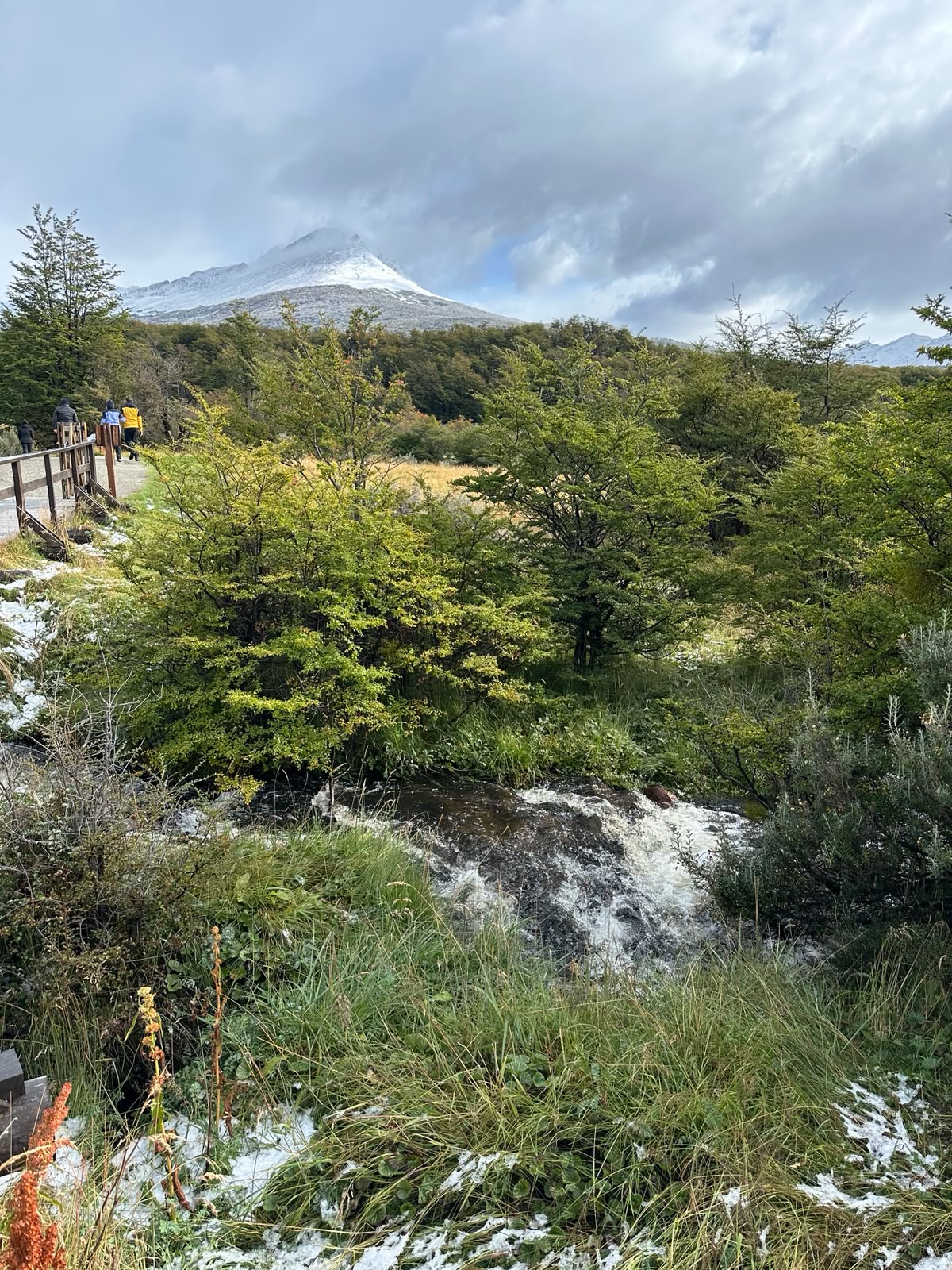 Paisaje Bahía Lapataia