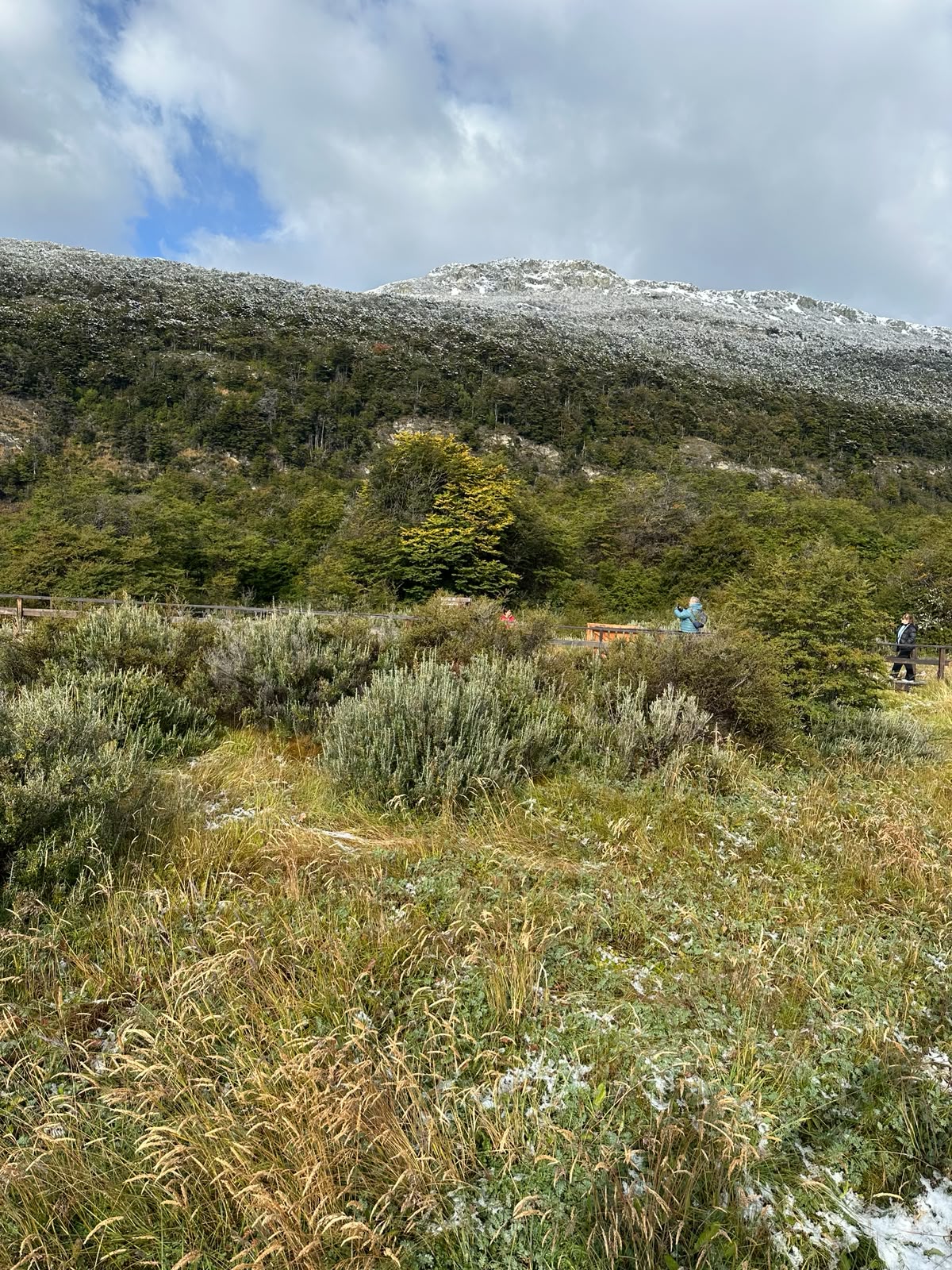 Paisaje Bahía Lapataia