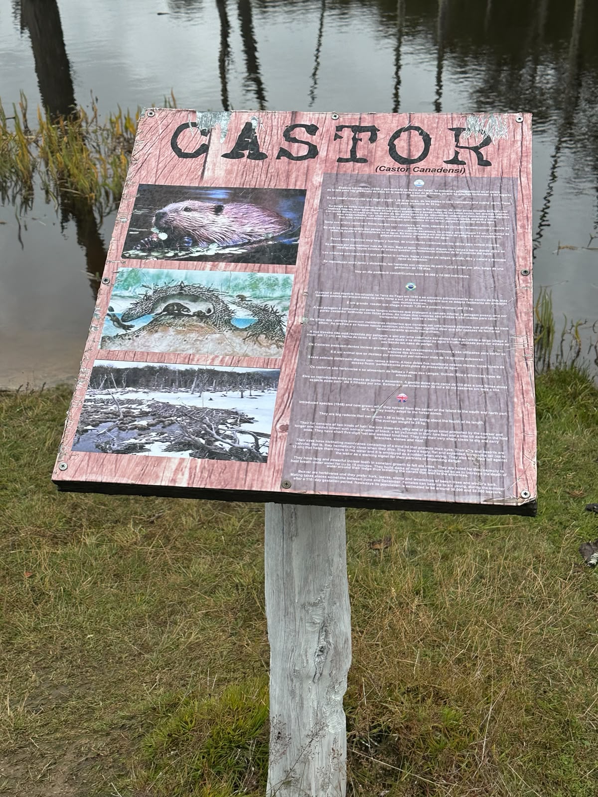 Castorera cartel